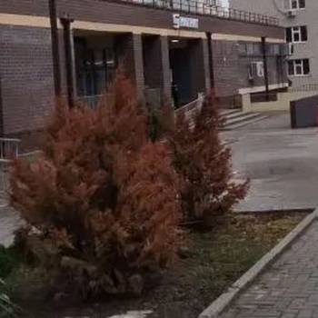 Продается 1-комнатная квартира, 42 м²