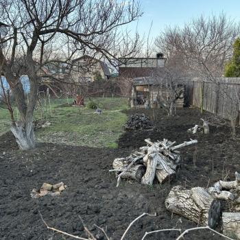 Продается Участок, 550 м²