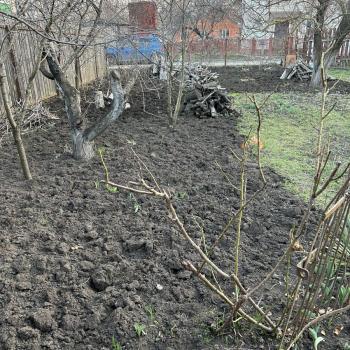 Продается Участок, 550 м²