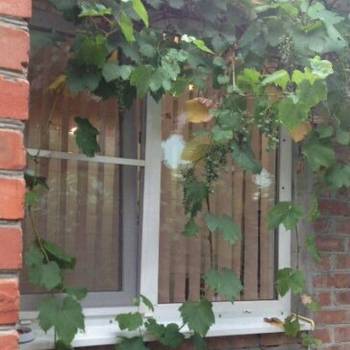 Сдается Дом, 43 м²