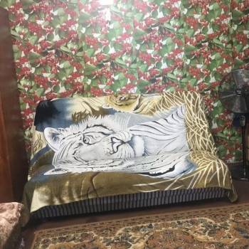 Сдается 2-х комнатная квартира, 52 м²