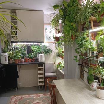 Продается 1-комнатная квартира, 37,4 м²