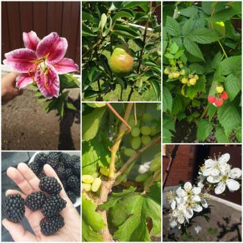 Продается Дом, 83 м²