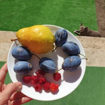 Продается Дом, 83 м²