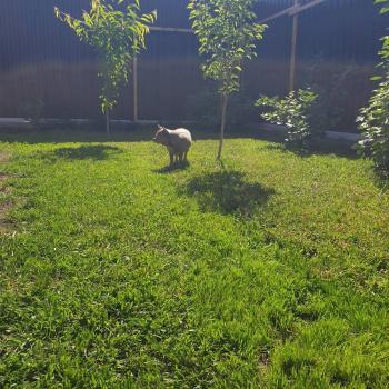 Продается Дом, 83 м²