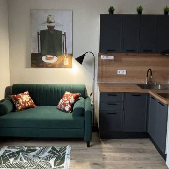 Сдается 1-комнатная квартира, 22,1 м²