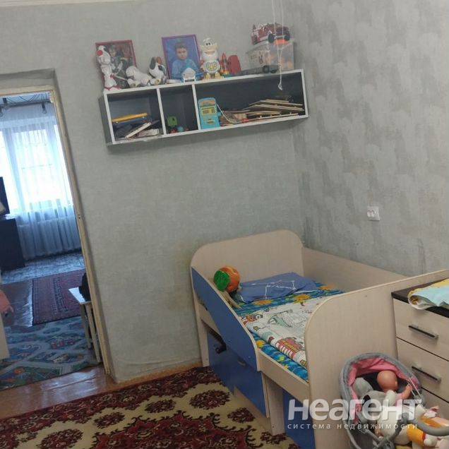 Фотография №2