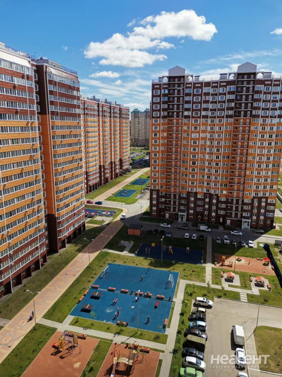 Фотография №3