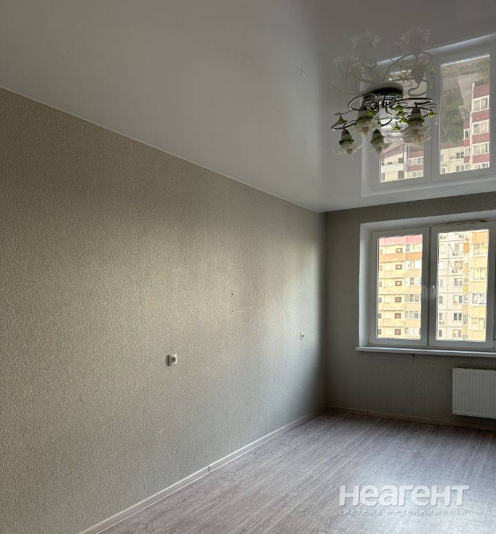 Фотография №2