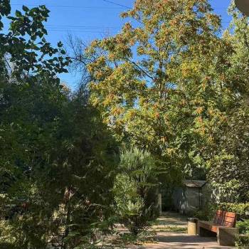 Сдается 2-х комнатная квартира, 52 м²