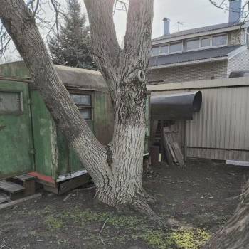 Продается Участок, 600 м²