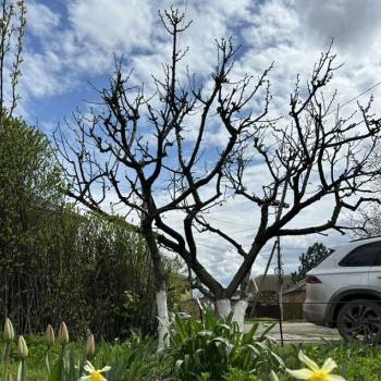 Продается Дом, 50 м²