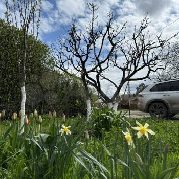 Продается Дом, 50 м²