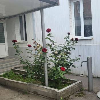 Сдается Дом, 80 м²