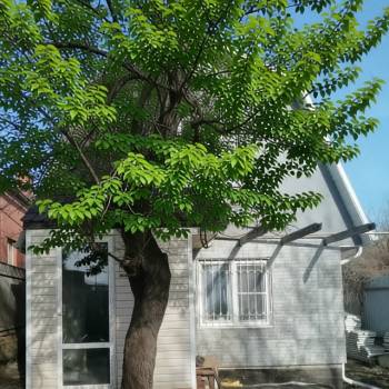 Продается Дом, 42 м²