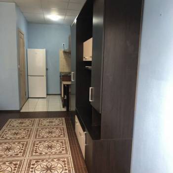 Сдается 1-комнатная квартира, 24 м²