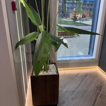 Сдается 1-комнатная квартира, 35 м²