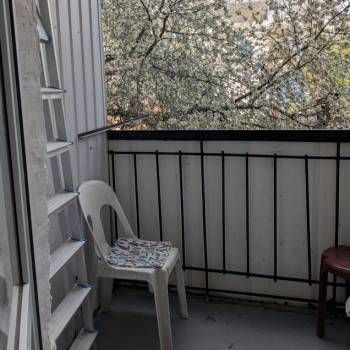 Сдается 1-комнатная квартира, 22,1 м²