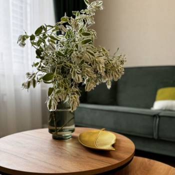 Продается 1-комнатная квартира, 31,1 м²