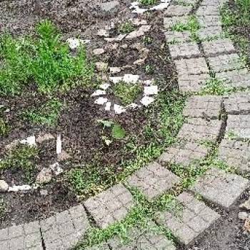 Сдается Дом, 30 м²