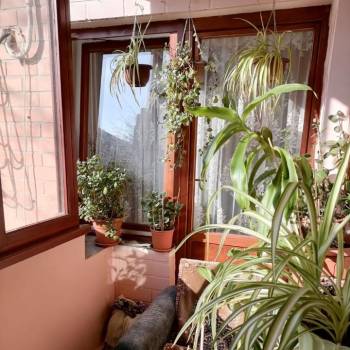 Сдается 2-х комнатная квартира, 56 м²