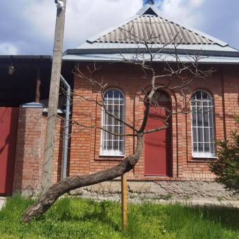 Сдается Дом, 32 м²