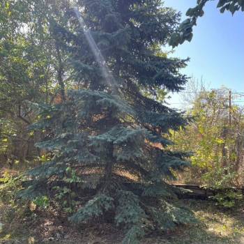 Продается Участок, 740 м²