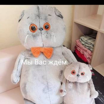 Сдается Комната, 20 м²