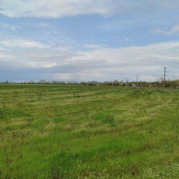 Продается Участок, 27500 м²