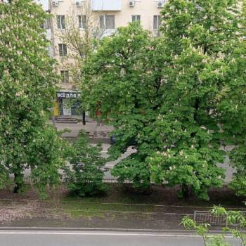 Сдается 1-комнатная квартира, 34 м²