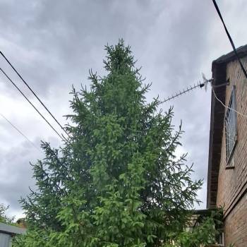 Сдается Дом, 64 м²