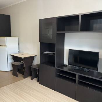Сдается 1-комнатная квартира, 27,6 м²