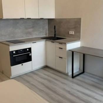 Сдается 1-комнатная квартира, 20,2 м²