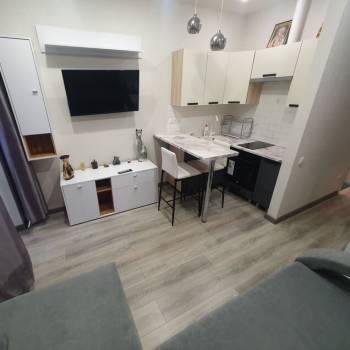 Сдается 1-комнатная квартира, 20,4 м²