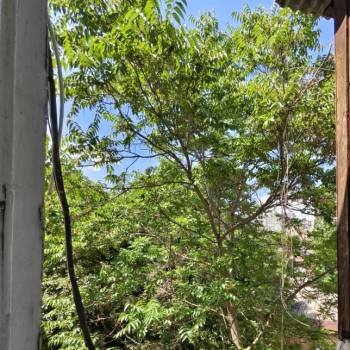 Сдается Комната, 18 м²