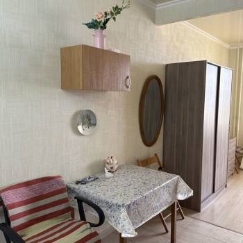 Сдается 1-комнатная квартира, 24,3 м²