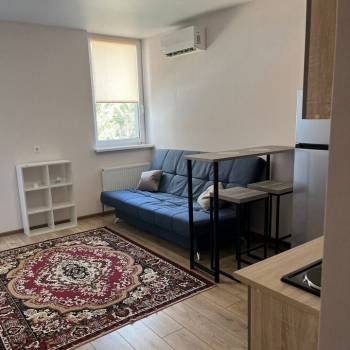 Сдается 1-комнатная квартира, 21,9 м²