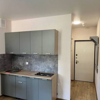 Сдается 1-комнатная квартира, 21,9 м²