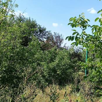 Продается Участок, 600 м²