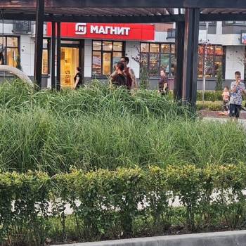 Сдается 1-комнатная квартира, 38,7 м²