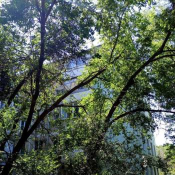 Продается Многокомнатная квартира, 59,7 м²