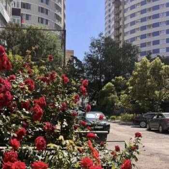 Сдается Многокомнатная квартира, 64,2 м²