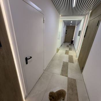 Сдается 2-х комнатная квартира, 57,2 м²