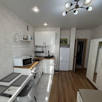 Сдается 1-комнатная квартира, 21,7 м²