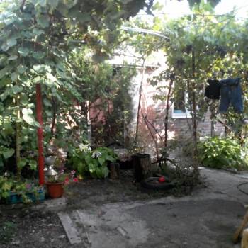 Сдается Дом, 53 м²