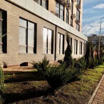 Сдается 2-х комнатная квартира, 62 м²