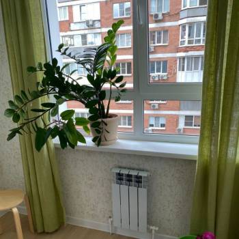 Сдается 1-комнатная квартира, 42 м²