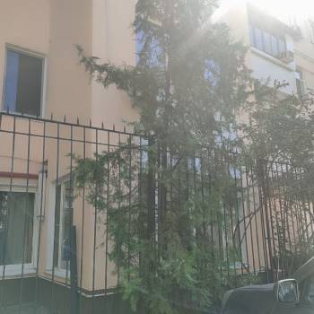 Сдается Многокомнатная квартира, 80 м²