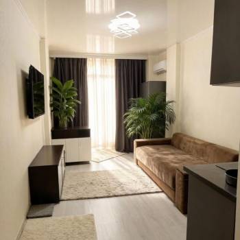 Продается 1-комнатная квартира, 26,5 м²