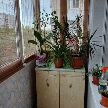 Продается 3-х комнатная квартира, 59,6 м²